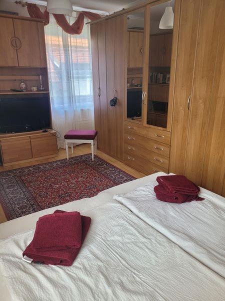 Ferienwohnung Korneuburg Bei Wien -1 Екстер'єр фото